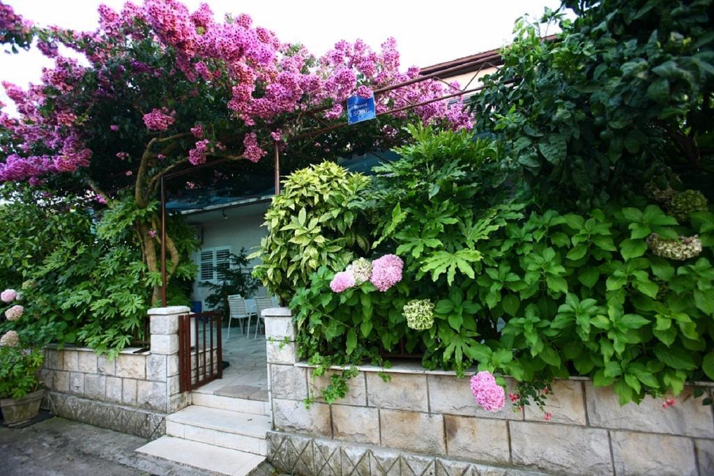 Apartments Indira Lovište 部屋 写真